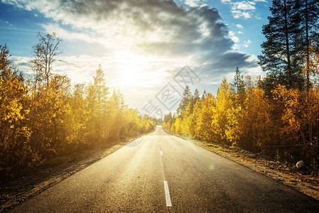 秋天时间在北部森林的道路图片