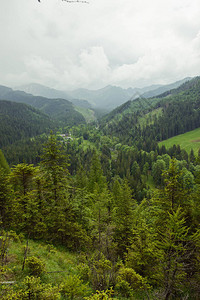 Tatra山的夏季山景夏季时间图片