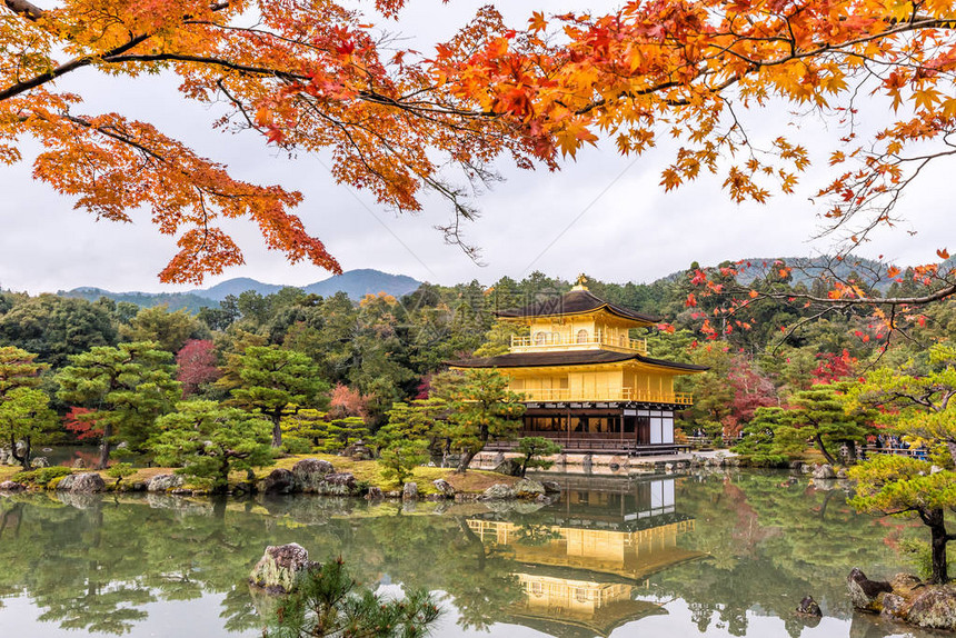 日本京都金阁寺金阁的秋季图片
