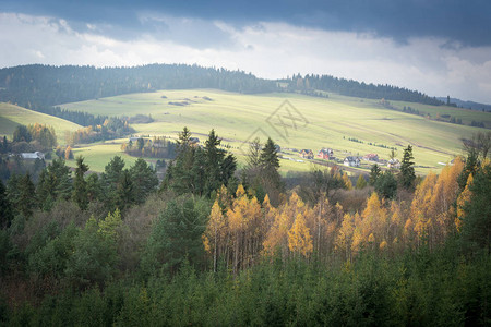 波兰皮尼山的秋景图片