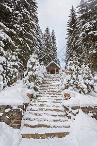 冬季雪林景观中的Wooden图片