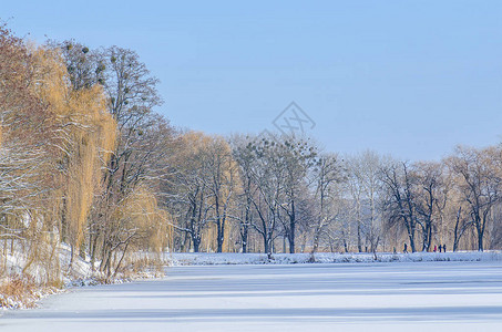 冬天美丽的公园冰冻湖泊冬季风景图片