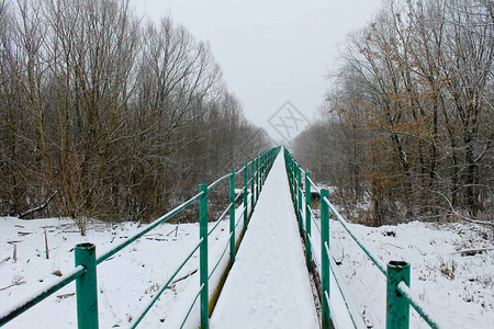 冬天过河到森林的人行天桥图片