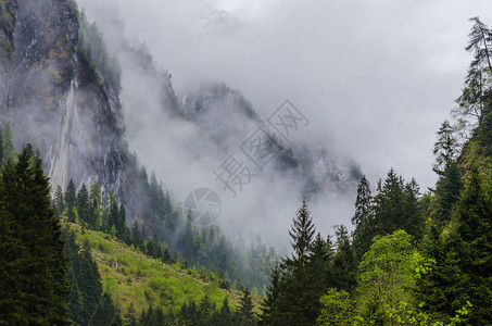 山谷和山脉的浓雾图片