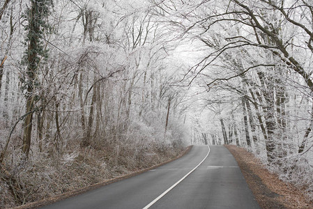 冬季道路冬季运输概念和图片