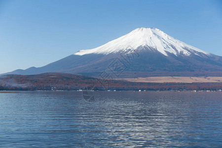 富士山与中湖图片