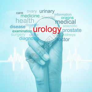 手拿着听诊器与泌尿外科词医学概念图片