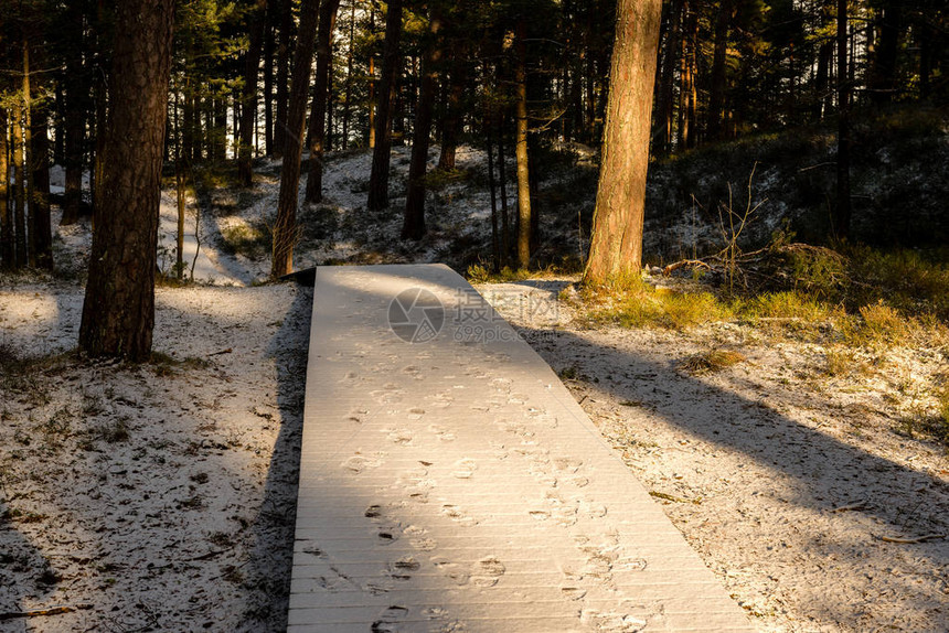 在孤独的森林深雪中在冬季公路上徒步行的图片