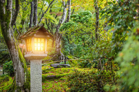 日本风格的花园秋天有石灯潮湿的苔在背景图片