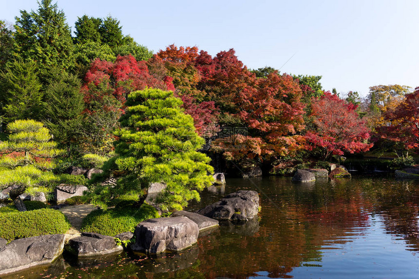 日本花园秋天景图片