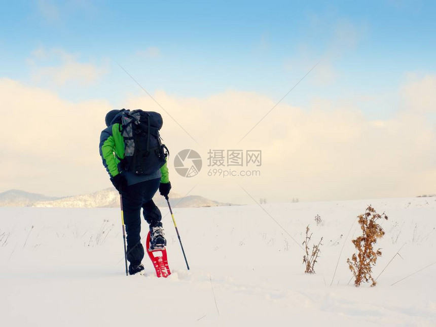 清洁雪鞋的人穿着绿色灰冬季夹克和黑色徒步裤的徒步旅行者在雪域中行走粉雪中的雪鞋行走多云的冬日图片