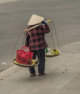 越南大拉特在有线汽图片