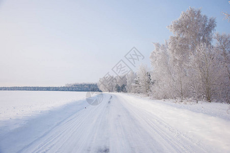 冬天的乡间小路旁边有森林图片