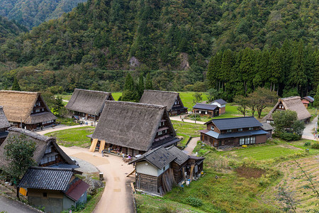 日本传统村Shira图片