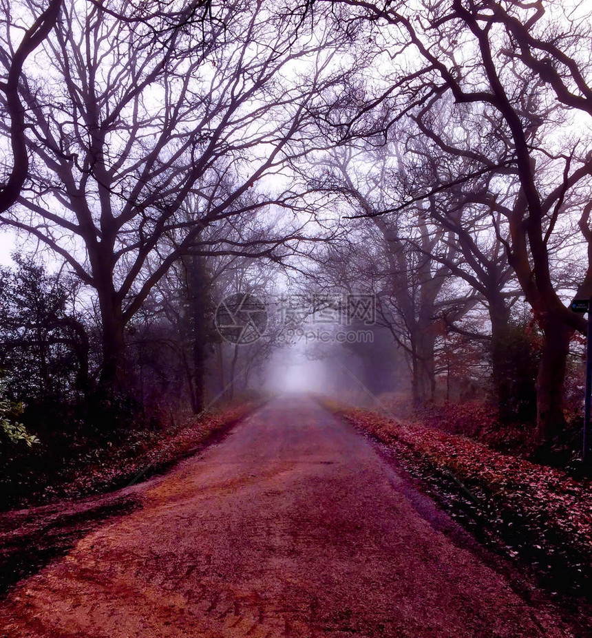 雾蒙的早晨的乡间小路图片
