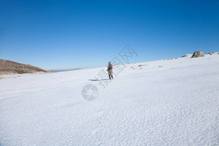 穿着绿色背心红色毛衣棕色长裤在雪中漫步图片