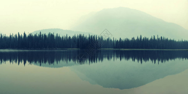 雾天倒映在湖面上的山和森林图片