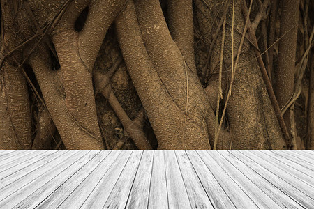 木质表面天然颜色用于背景图片