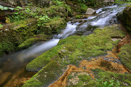 森林山谷中的瀑布和溪流图片