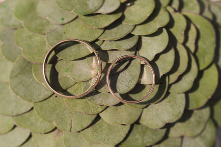 绿叶背景上的结婚戒指背景图片
