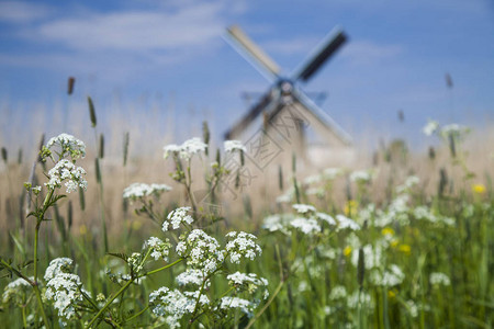 荷兰小孩堤防的风车风景如画图片