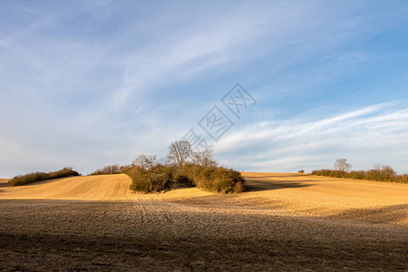春天的风景牧场树木和蓝天云朵捷克图片