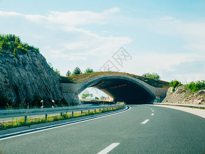 路上的动物桥路上的绿桥安全桥越过高速公路动物在克罗地图片