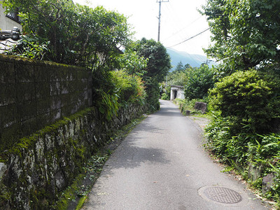 扎克瑞莱维日本Yufui背景