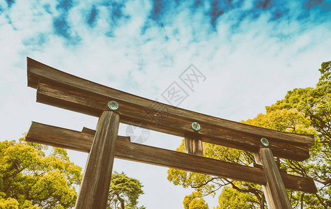 日本东京的明治神宫公园图片