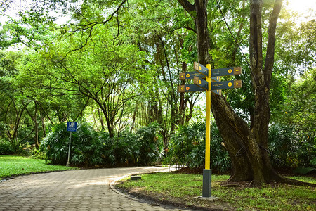 公园里的路标人行道和树木图片