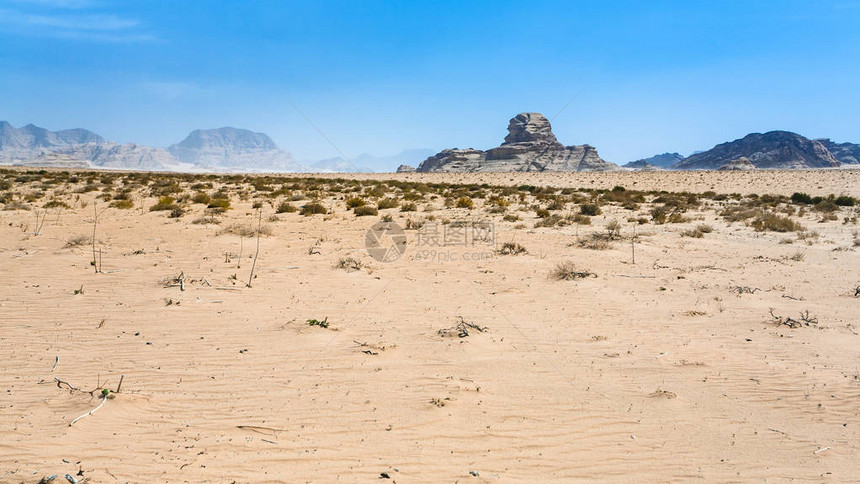 前往中东约旦王国旅行在阳光明阳的冬季日见瓦迪鲁姆沙漠Sp图片