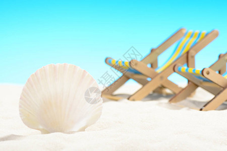 沙滩上的贝壳和两张阳光床在蓝天图片