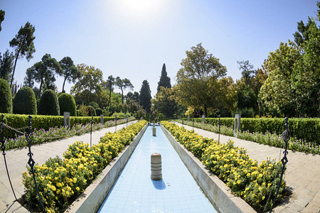 伊朗设拉子的Eram花园高清图片
