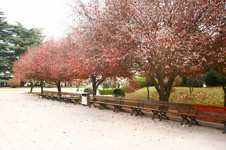 西安市美丽的秋天背景图片