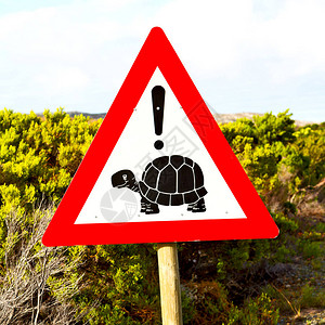 关闭海龟标志像纹理背景一样图片