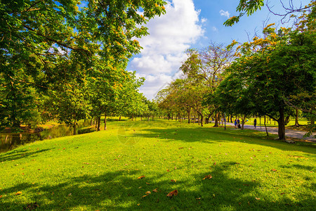 城市公园有绿色的草甸和树反对蓝天晴图片