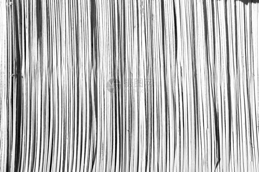 在阿曼抽象肌理的竹墙背景图片
