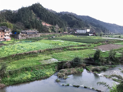 去旅游春晚三江侗族自治县城阳村河边花图片