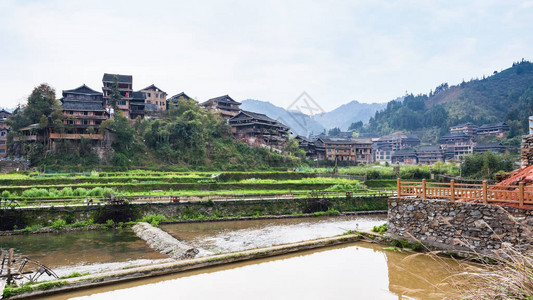 到旅游三江侗族自治县城阳村灌溉渠附近的梯田和背景图片