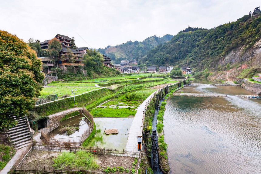 春季在三江东自治州成阳村的灌溉运河和稻田到旅游春图片