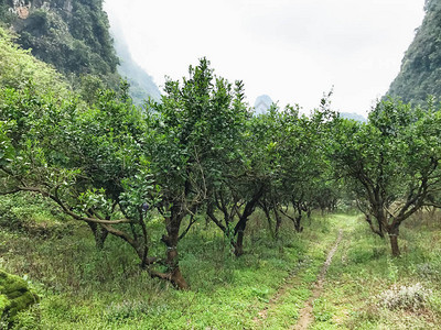 前往旅游图片