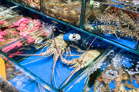 行广州黄沙水产交易市场春季大闸蟹与刺龙虾图片