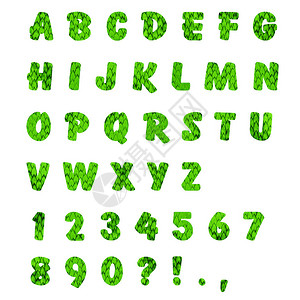 英文字母表和用绿色叶子制作的字符图片