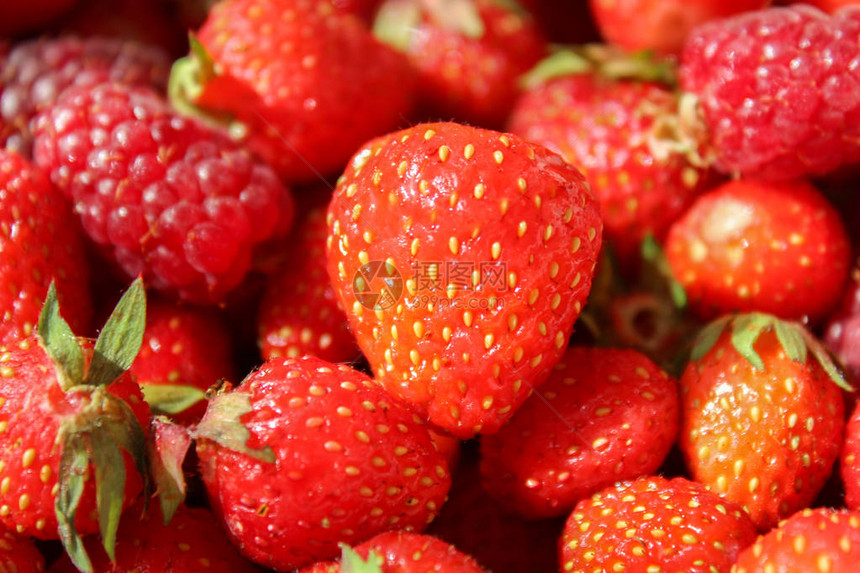 国产草莓和覆盆子近照图片