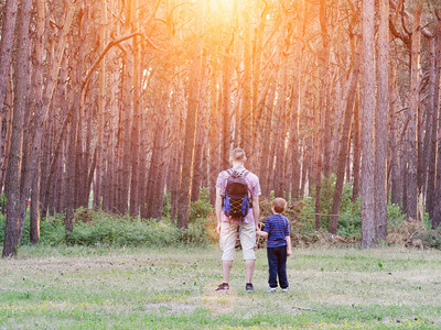 父亲和儿子正站在森林前后视图片