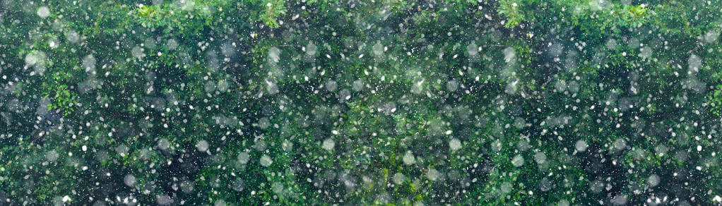 冬季森林的雪落下圣诞新年魔法图片