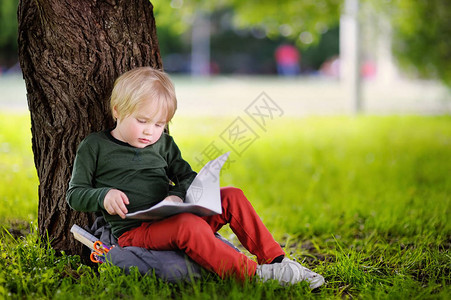 可爱的小男生坐在树下学习做他的家庭作业的年轻学生小孩子的教育回图片