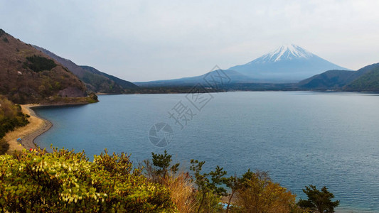 日本山梨县本栖湖和富士山图片