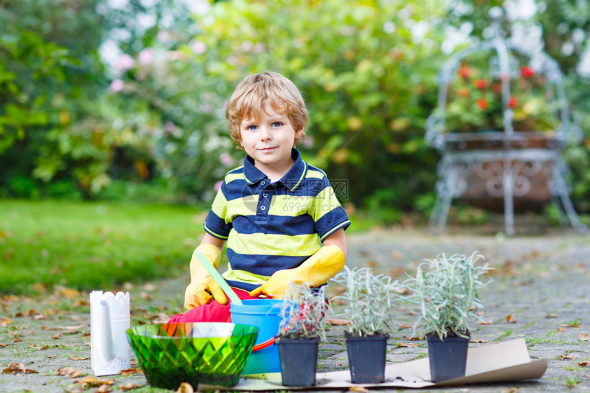 可爱的小男孩在温暖的阳光明媚的春天或夏天在家花园或农场种花孩子玩园艺孩子学习是绿色的户图片