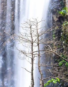 天然的自然瀑布图片